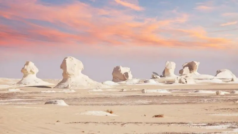 White Desert with Bahariya Oasis Adventure