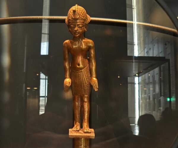 Tour to Pyramids & The Grand Egyptian Museum