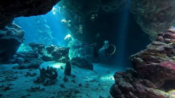 Dolphin House Tour in Marsa Alam