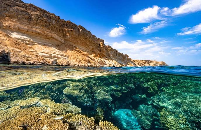 Semi Submarine Trip in Sharm El Sheikh